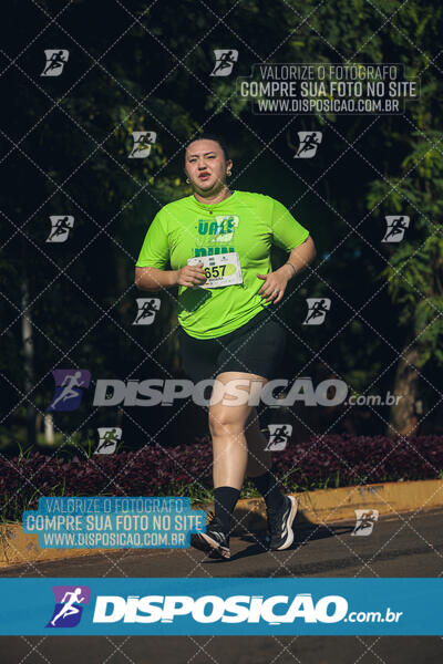 Vale Verde Run 2024