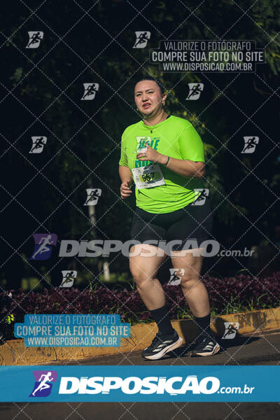 Vale Verde Run 2024