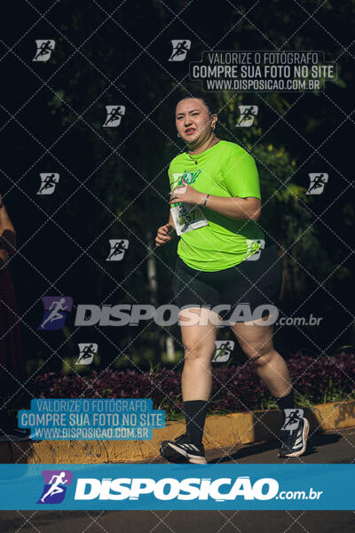 Vale Verde Run 2024