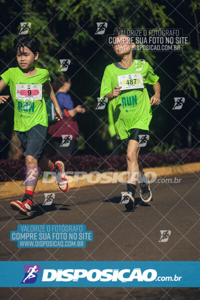 Vale Verde Run 2024