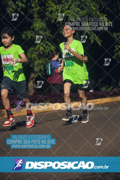 Vale Verde Run 2024