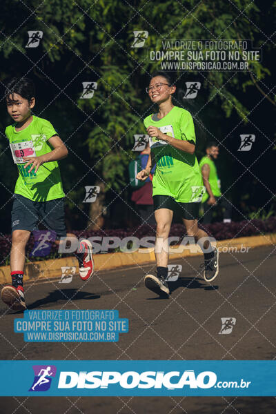 Vale Verde Run 2024