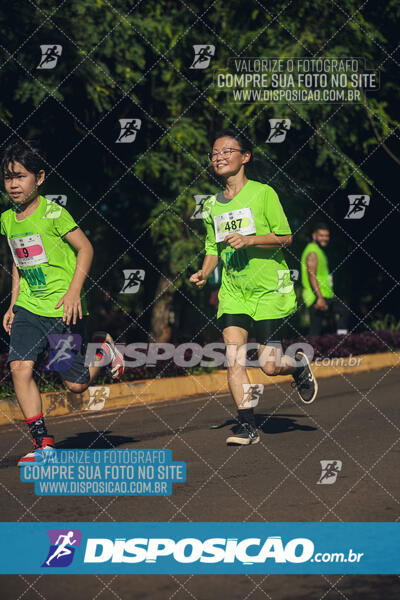 Vale Verde Run 2024