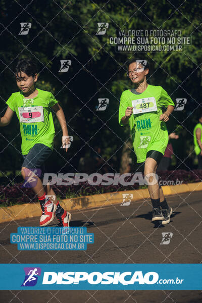 Vale Verde Run 2024