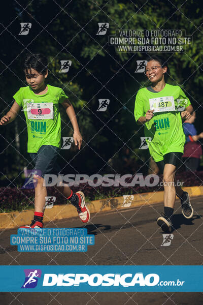 Vale Verde Run 2024