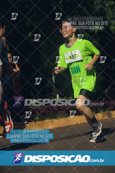 Vale Verde Run 2024