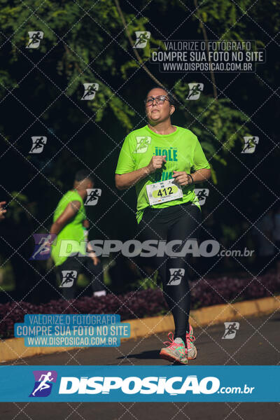 Vale Verde Run 2024