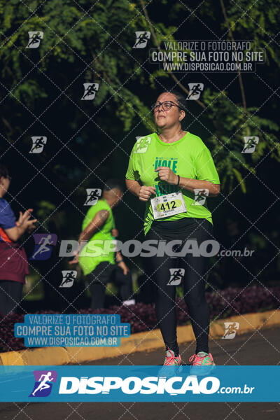 Vale Verde Run 2024