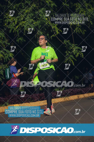 Vale Verde Run 2024