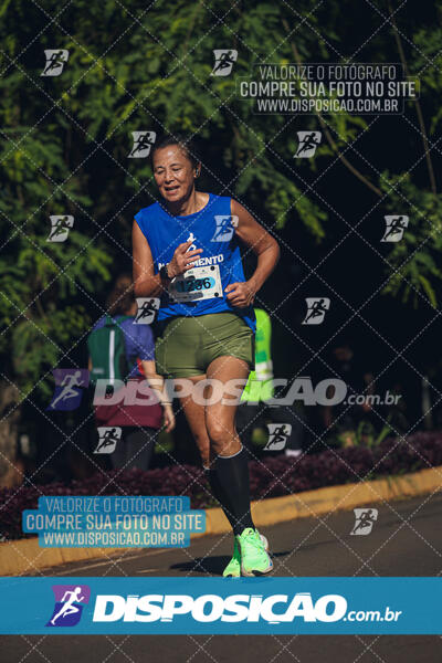 Vale Verde Run 2024