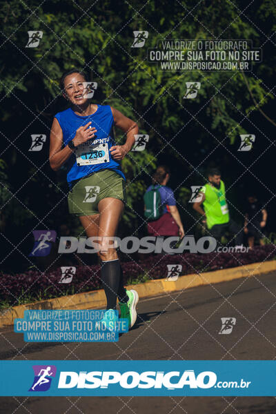 Vale Verde Run 2024