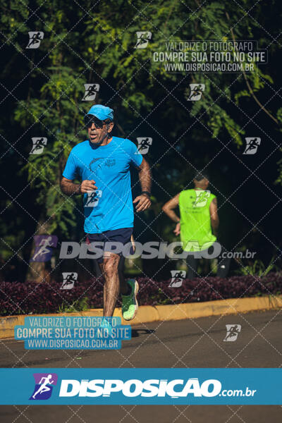 Vale Verde Run 2024