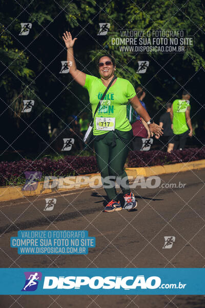 Vale Verde Run 2024