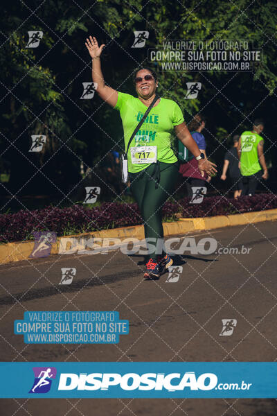 Vale Verde Run 2024