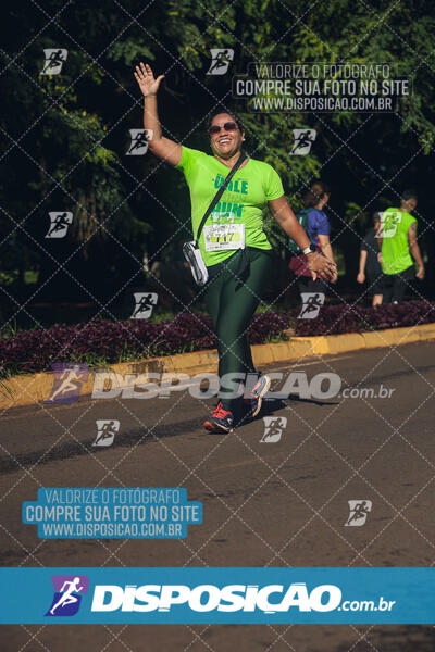 Vale Verde Run 2024