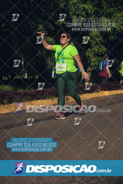 Vale Verde Run 2024