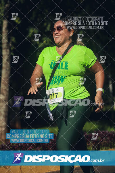 Vale Verde Run 2024