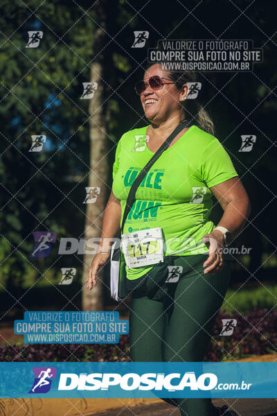 Vale Verde Run 2024