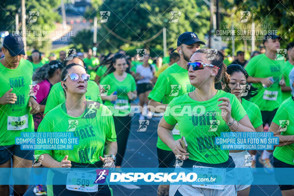 Vale Verde Run 2024