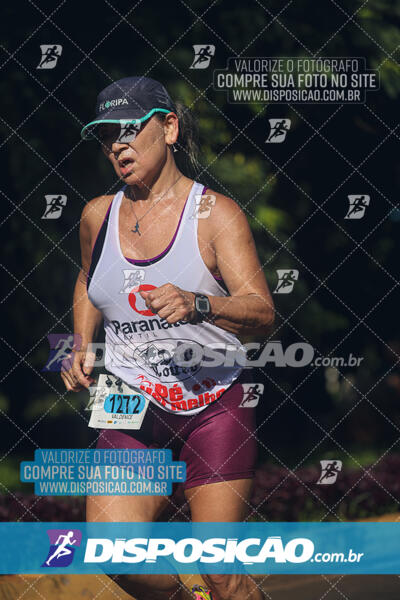 Vale Verde Run 2024