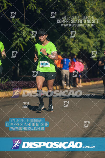 Vale Verde Run 2024