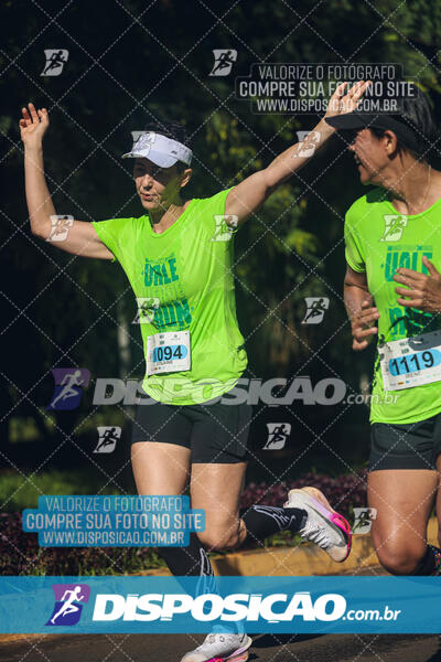 Vale Verde Run 2024