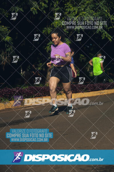 Vale Verde Run 2024