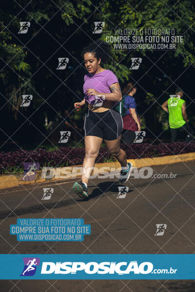 Vale Verde Run 2024