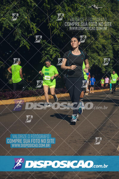 Vale Verde Run 2024