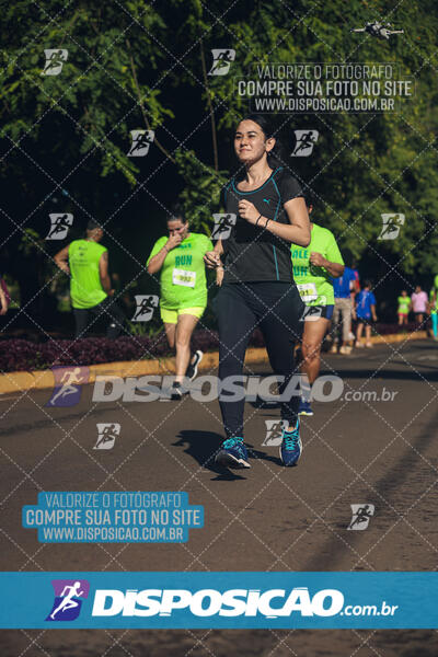 Vale Verde Run 2024