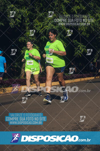 Vale Verde Run 2024