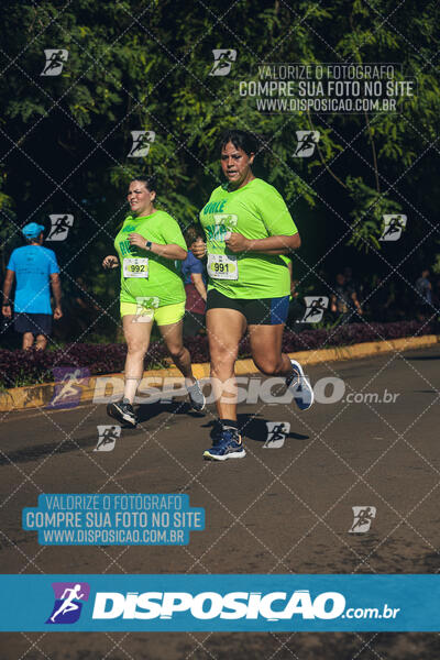 Vale Verde Run 2024