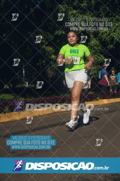 Vale Verde Run 2024