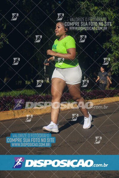 Vale Verde Run 2024