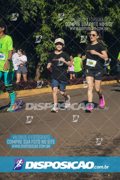 Vale Verde Run 2024