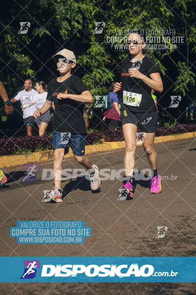 Vale Verde Run 2024