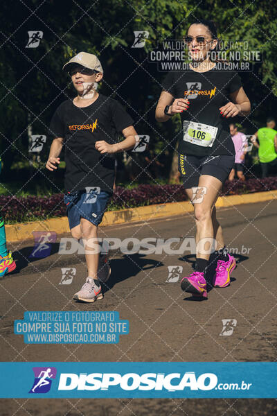 Vale Verde Run 2024