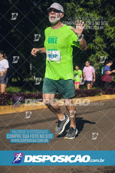 Vale Verde Run 2024