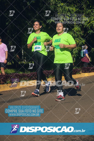 Vale Verde Run 2024