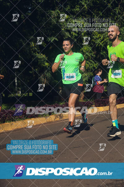 Vale Verde Run 2024