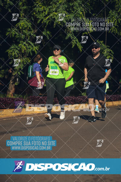 Vale Verde Run 2024