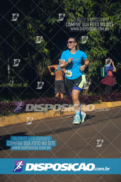 Vale Verde Run 2024