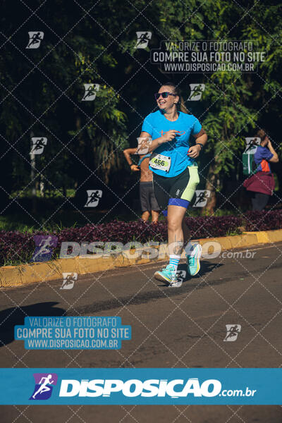 Vale Verde Run 2024