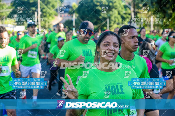 Vale Verde Run 2024