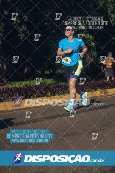 Vale Verde Run 2024