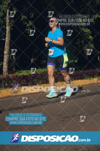 Vale Verde Run 2024