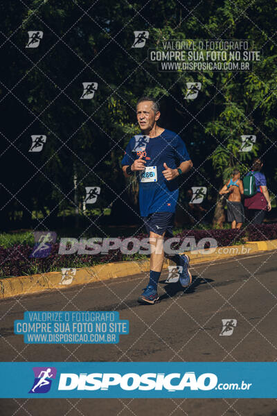 Vale Verde Run 2024