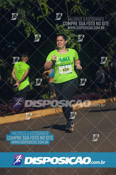 Vale Verde Run 2024