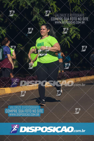 Vale Verde Run 2024