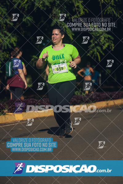 Vale Verde Run 2024